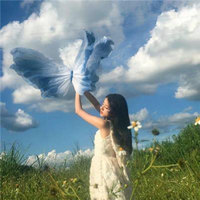 弃黄从正第二季